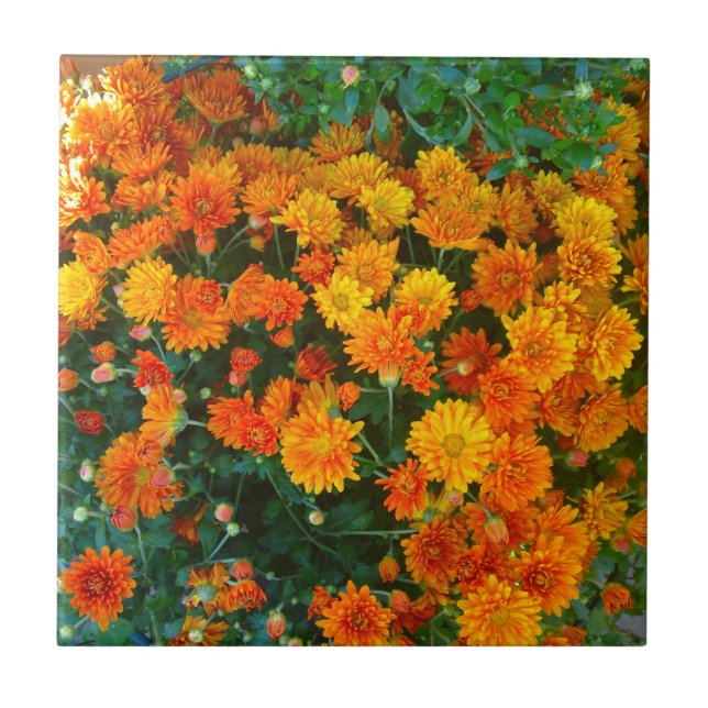 Carreau Carrelage orange Margarita Daisy (Devant)