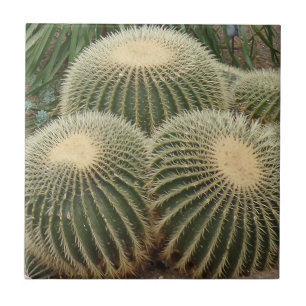 Carreau Carrelage photo Cactus Petit (4,25 po x 4,25 po)
