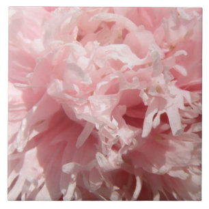 Carreau Carrelage rose pâle