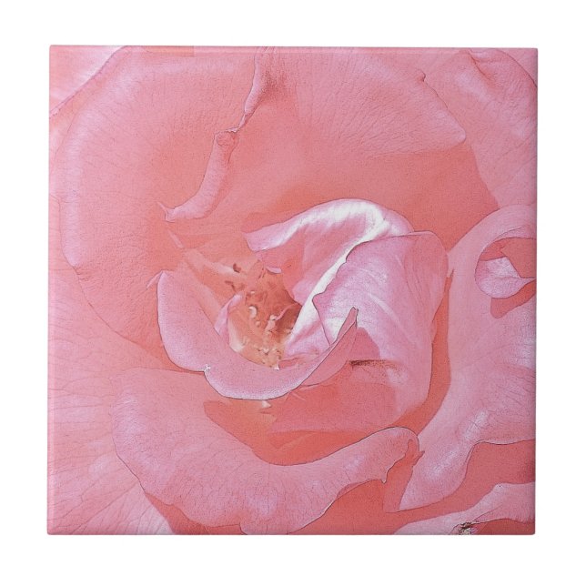 Carreau Carrelage rose Pétales (Devant)