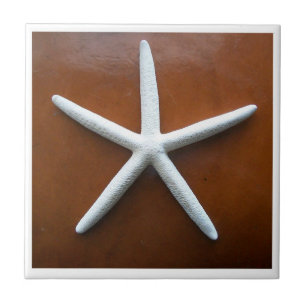 Carreau Carrelage Sea Star