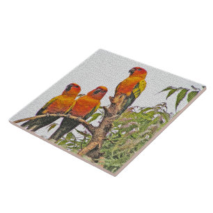CARREAU CARRELAGE/TRIVET, TROIS PARROTS ORANGE (MANIP NUMÉ