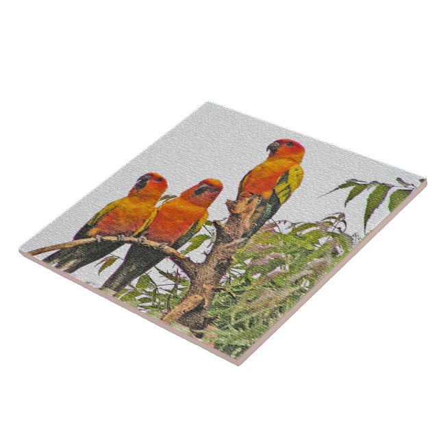 CARREAU CARRELAGE/TRIVET, TROIS PARROTS ORANGE (MANIP NUMÉ (Côté)