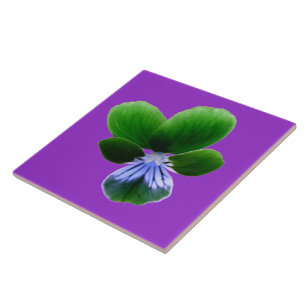 Carreau Carrelage vert Pansy