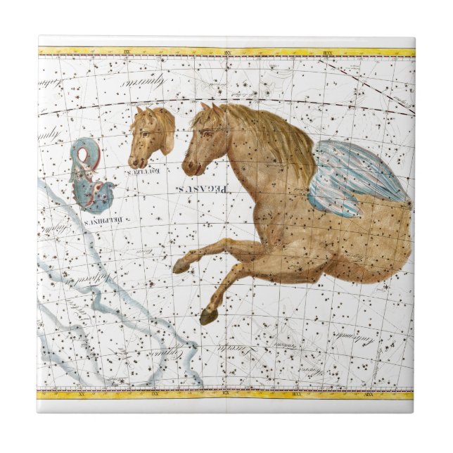 Carreau Carte céleste Pegasus (Devant)