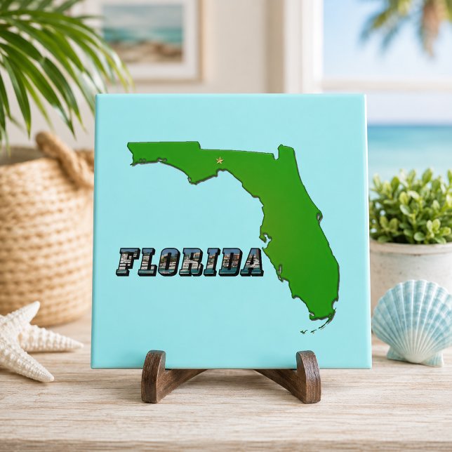 Carreau Carte de l'État de Floride et Texte (Florida State Map and Text Ceramic Tile)