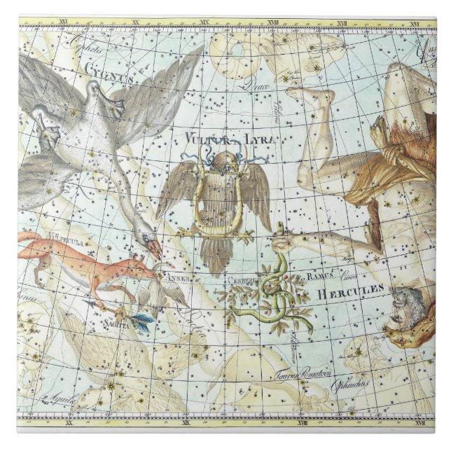 Carreau Carte du ciel vintage Constellation d'Hercules (Devant)