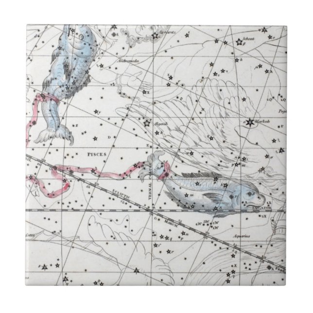 Carreau Carte du plat XXII de constellations (Devant)