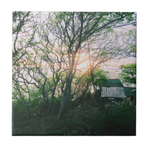 Carreau Carte magnétique