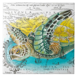 Carreau Carte Vintage de la tortue de mer blanche