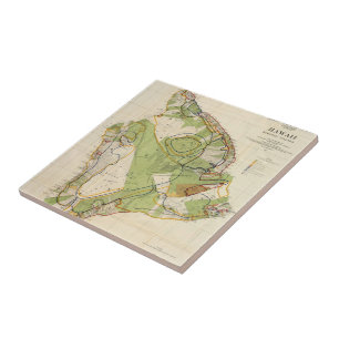 Carreau Carte vintage de l'île d'Hawaii (1906)