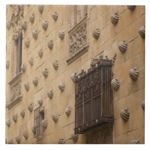 Carreau Casa de las Conchas, Maison des Coquilles