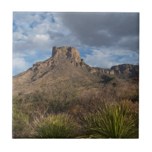 Carreau Casa Grande Peak, Bassin du Chisos, Big Bend