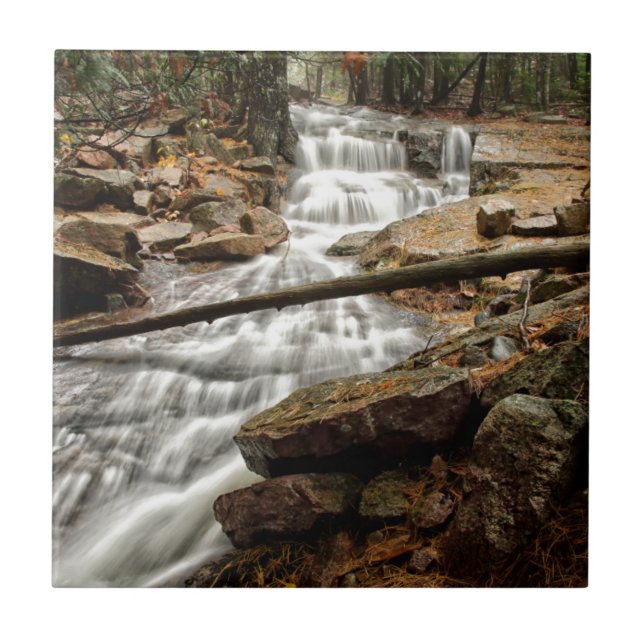 Carreau Cascade 4 (Devant)