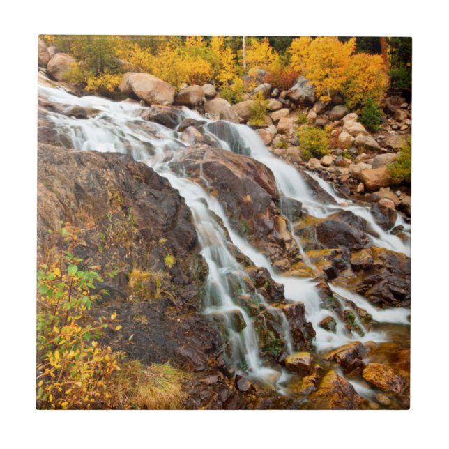 Carreau Cascade dans le Parc national de Grand Teton (Devant)