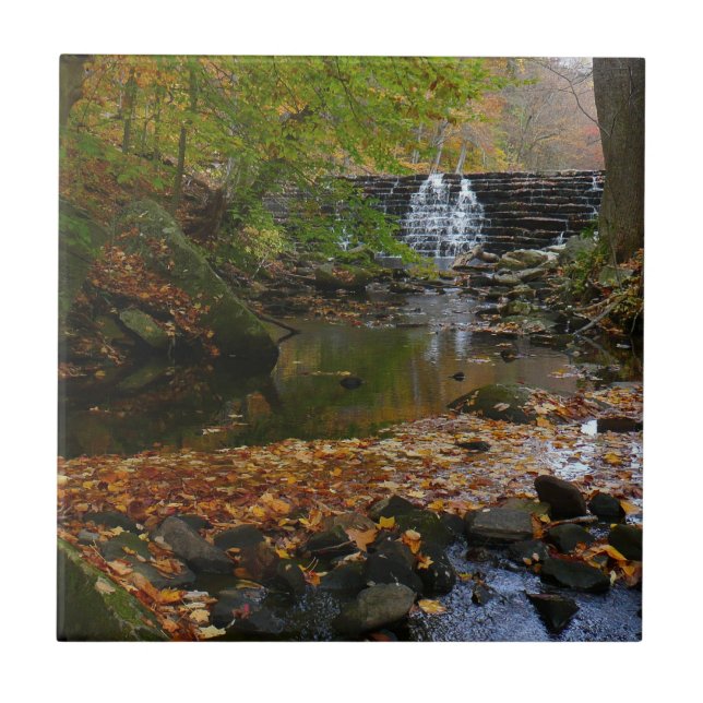Carreau Cascade d'automne et ruisseau de Pennsylvanie Natu (Devant)