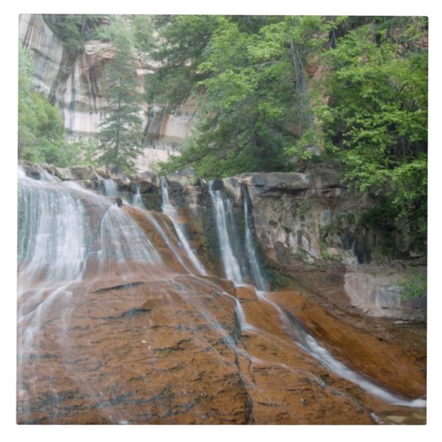 Carreau Cascade, parc national de Zion, Utah, États-Unis (Devant)