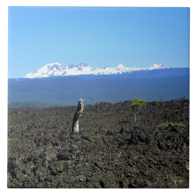 Carreau Cascades and lava rocks, OR (Devant)