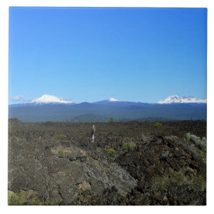 Carreau Cascades and lava rocks, OR