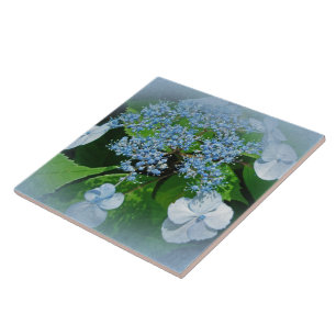 Carreau Casquette de dentelle bleue Hydrangea Fleurs