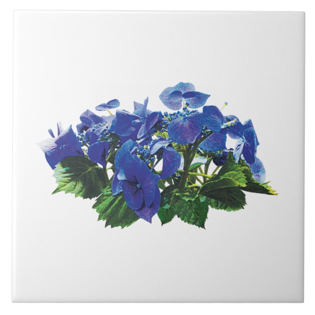 Carreau Casquette dentelle bleu foncé Hydrangea (Devant)