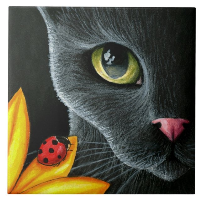 Carreau Cat 510 (Devant)