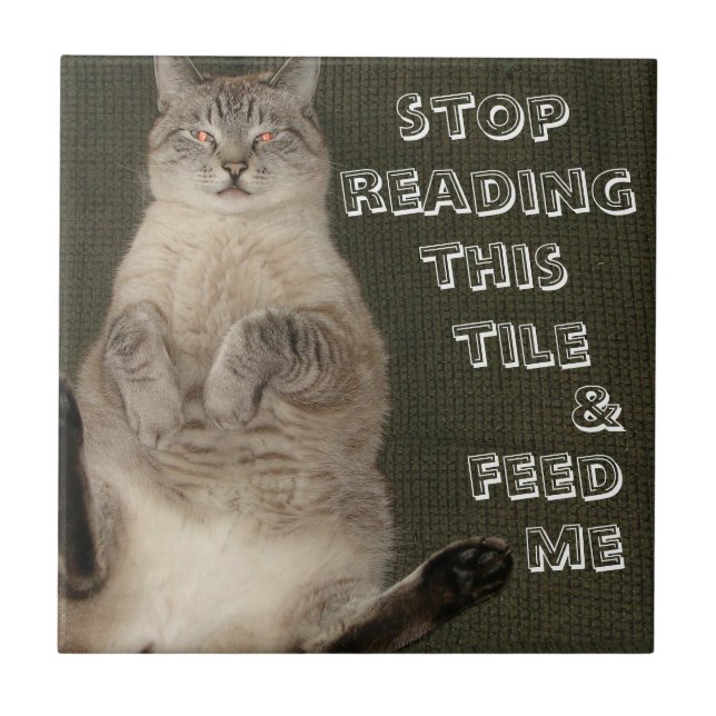 Carreau Cat "ARRÊTE DE LIRE CE TILE & FEED ME" Tuile (Devant)