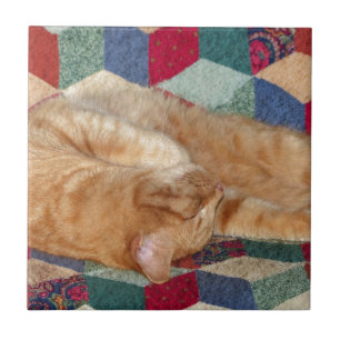Carreau Cat Napping
