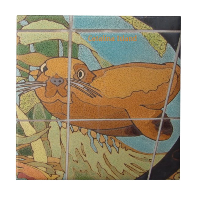 CARREAU CATALINA ISLAND CARRELAGE CÉRAMIQUE FACE DANS L'EA (Devant)