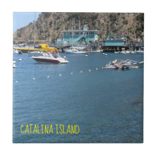 CARREAU CATALINA ISLAND CARRELAGE CÉRAMIQUE LA MAISON VERT