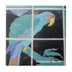CARREAU CATALINA ISLAND CERAMIC TILE