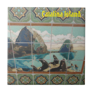 CARREAU CATALINA ISLAND CERAMIC TILE ISLAND AMIS