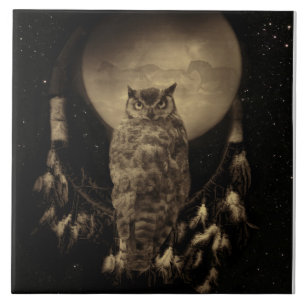 Carreau Catcher de rêve amérindien avec Chouette et Chevau