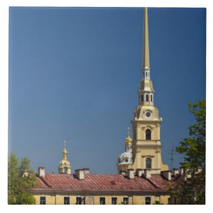 Carreau Cathédrale Saints-Pierre-et-Paul