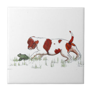 Carreau Cavalier King Charles Spaniel