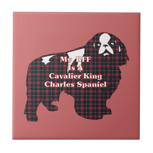 Carreau Cavalier King Charles Spaniel BFF (Devant)