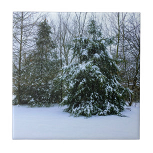 Carreau Cèdres neigeux