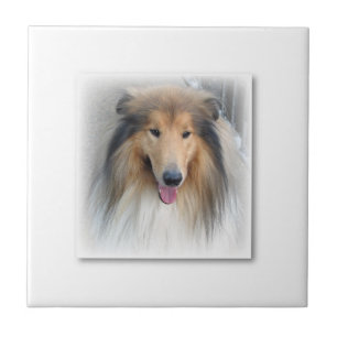 Carreau Ceramic Tile Dog