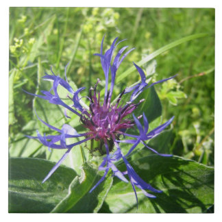 Carreau Céramique décoration murale, Fleur bleue.