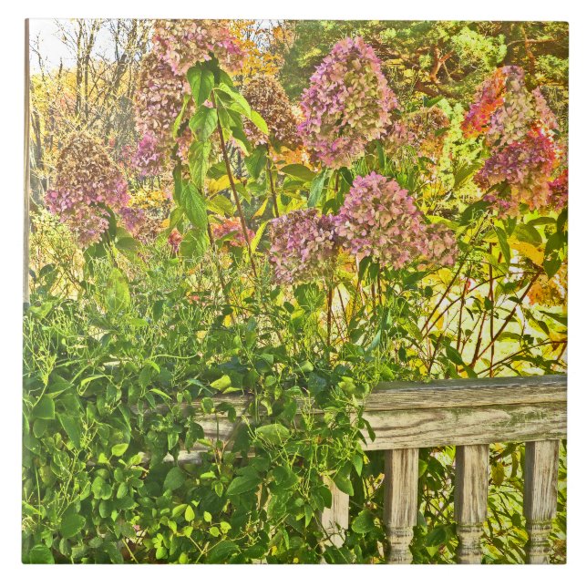 Carreau céramique / "HYDRANGEAS AT WODEN FENCE" (Devant)