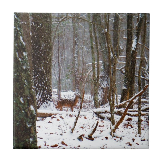 Carreau Cerf dans la chute de neige (Devant)
