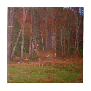 Carreau Cerf, Grass vert rouge et feuilles d'or