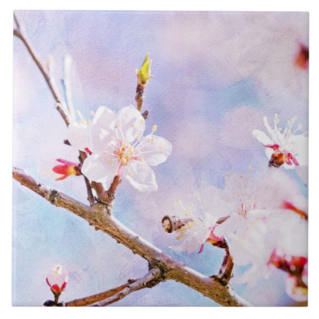 Carreau Cerise Japonaise - Sakura En Fleur (Devant)