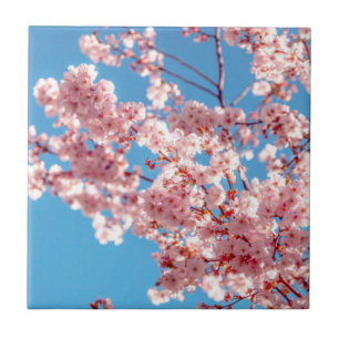 Carreau Cerisier Fleur d'Arbre Sakura