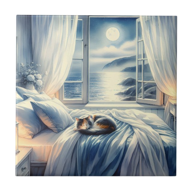 Carreau Chambre côtière au clair de lune avec chat endormi (Devant)