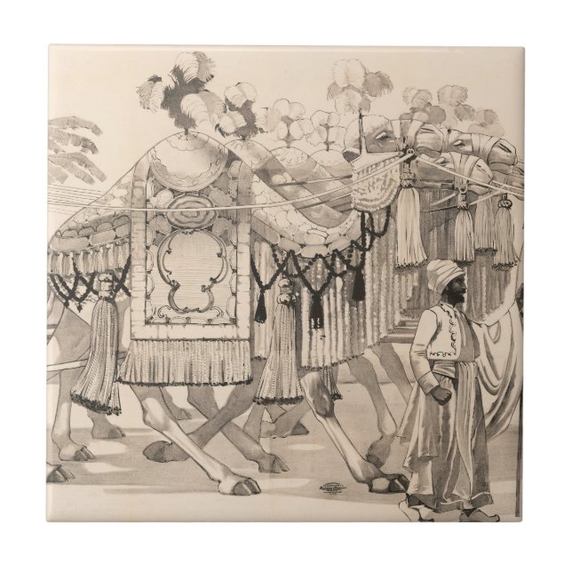 Carreau Chameaux Marchant Habillés En Costume (Devant)