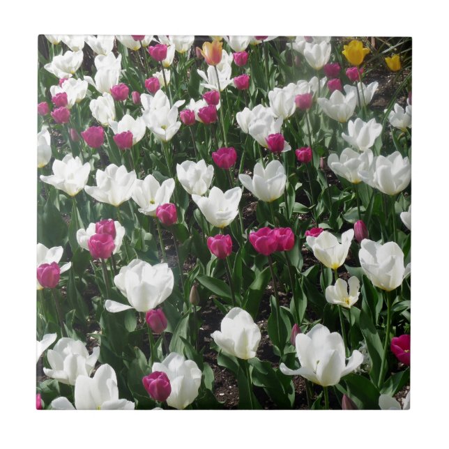 Carreau Champ De Fleurs (Devant)
