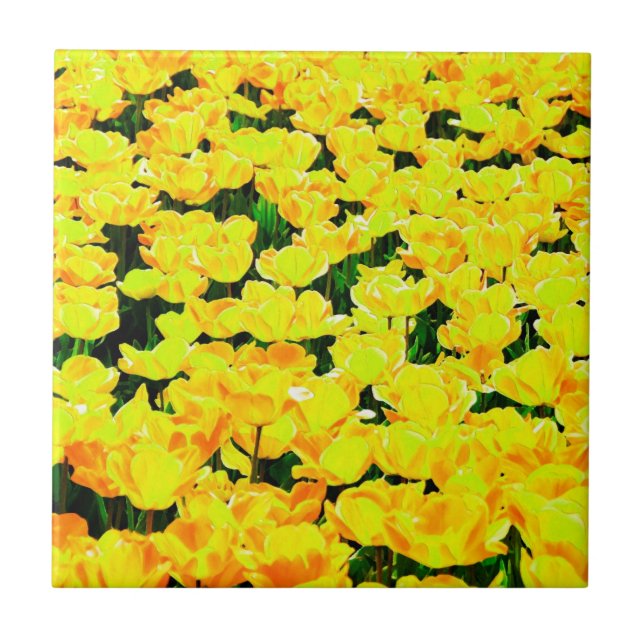 Carreau Champ de tulipe - jaune or (Devant)