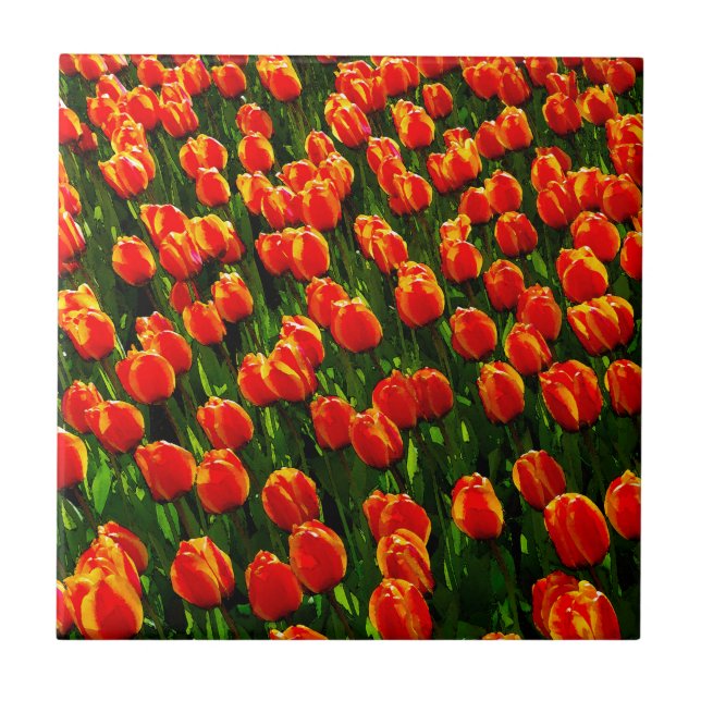 Carreau Champ de Tulipes Orange Lumineuses - Aquarelle (Devant)