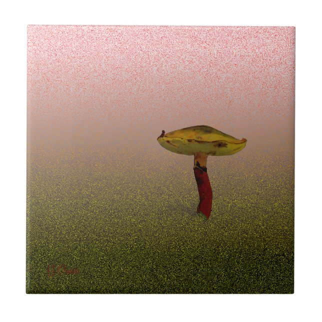 Carreau Champignons (Devant)